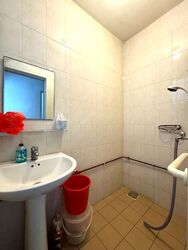 Serangoon Garden Estate (D19), Terrace #624968541